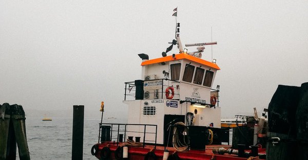 Comment définir le management ?