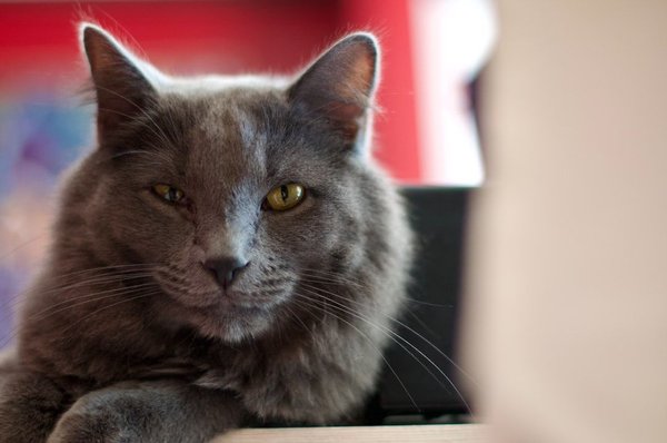 Quels sont les objectifs de l'entreprise ?